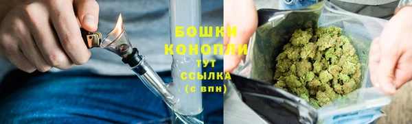 дживик Белоозёрский