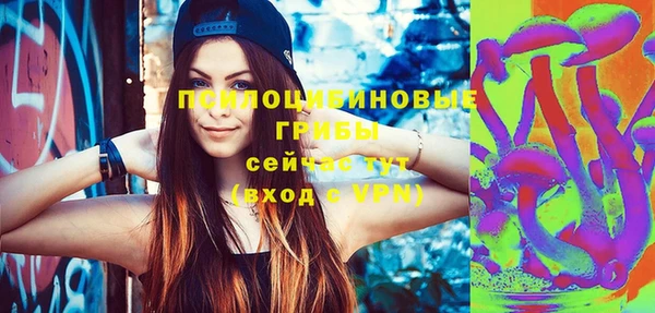 дживик Белоозёрский